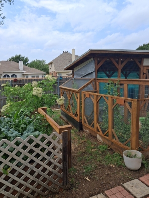 Garden View 3