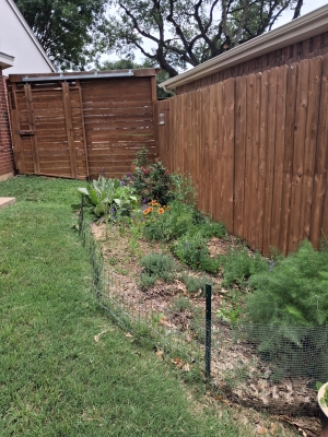Herb garden
