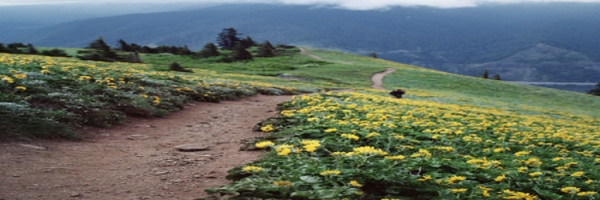 journey path